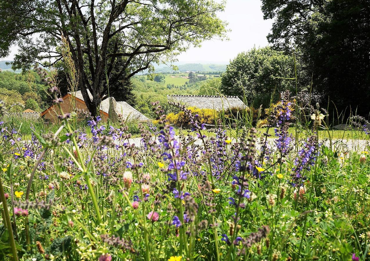 Domaine Des Marequiers Chambre Silene Saint-Germain-du-Teil 외부 사진