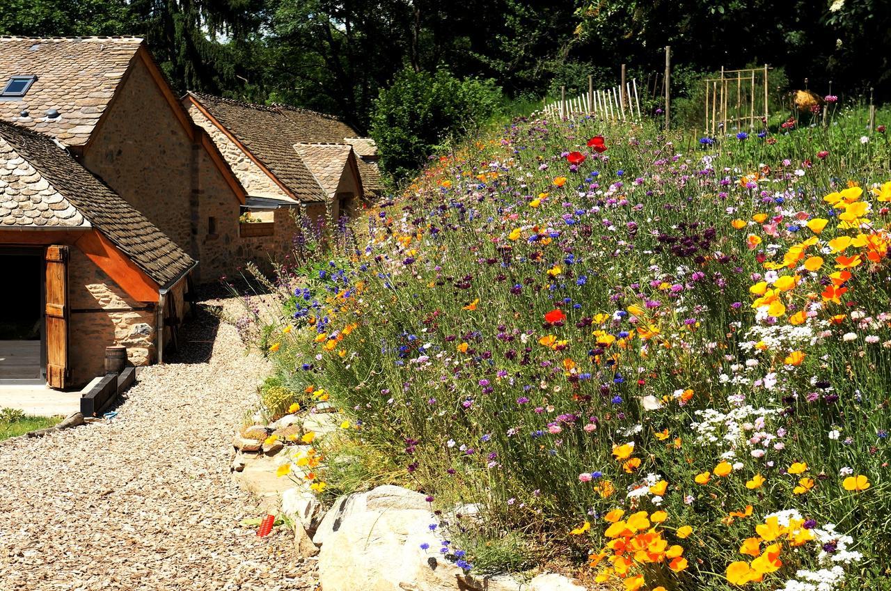 Domaine Des Marequiers Chambre Silene Saint-Germain-du-Teil 외부 사진